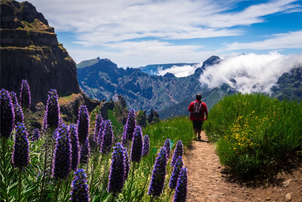 MADEIRA Exotický ráj a alpské scenérie v pohodovém tempu